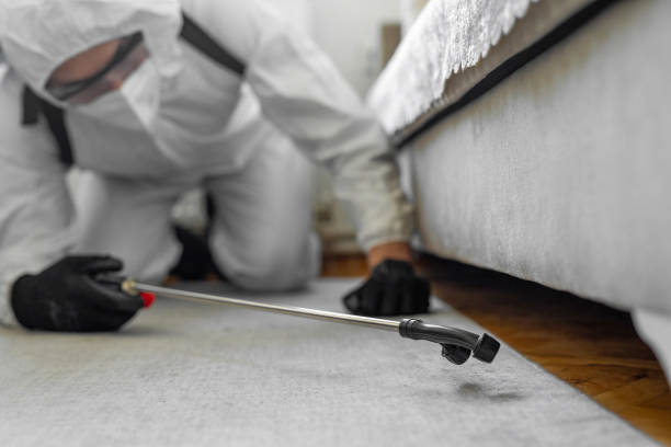 Professional Termite Control technician working in Nash County County, NC